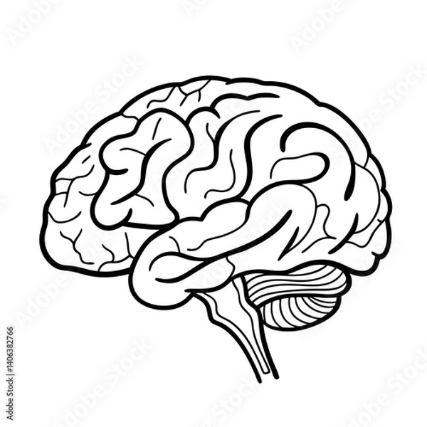 Fototapeta Hand Drawn Human Brain Illustration