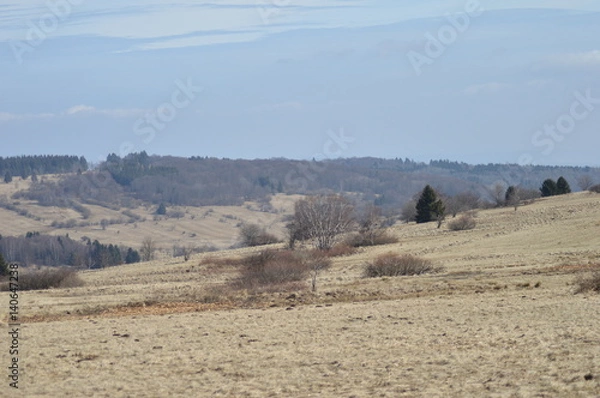 Obraz Moor- und Heidelandschaft