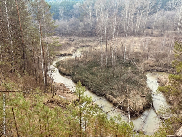 Obraz Landscape forest river in spring
