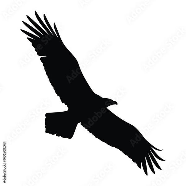 Obraz Eagle vector silhouette