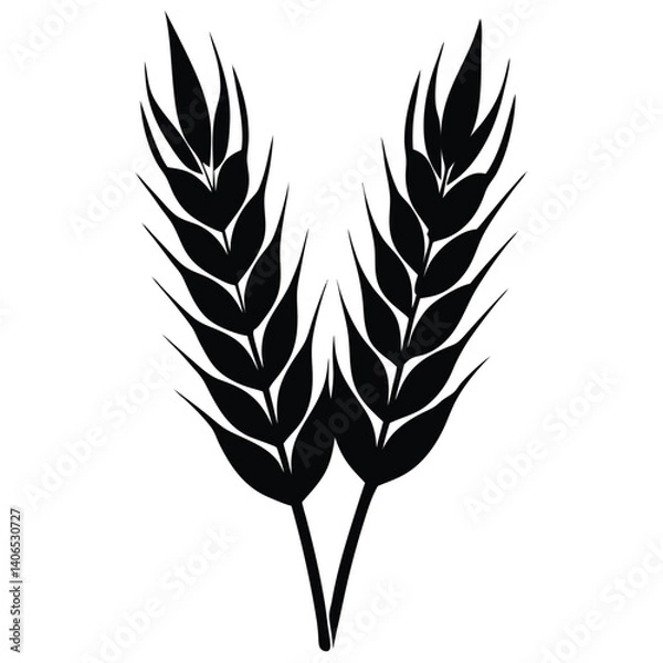 Fototapeta wheat plant silhouette with ripe wheat on white background