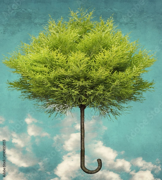 Obraz Drzewo parasolowe