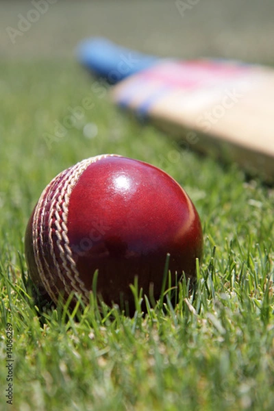 Obraz Cricket equipment.