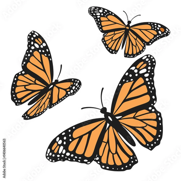 Fototapeta monarch butterflies set vector
