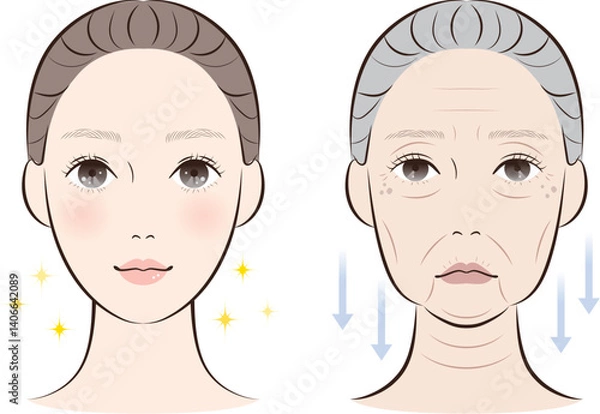 Obraz 老化が進んだ顔と若々しい顔の比較｜加齢による肌変化イラスト