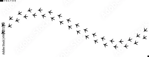 Fototapeta Chicken paw prints. Hen paw prints vector 