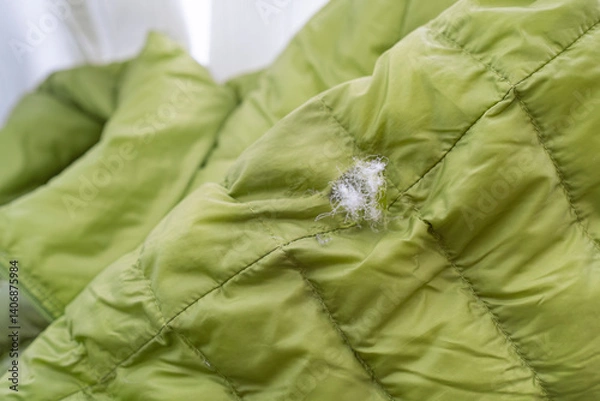 Obraz 破れて羽毛が飛び出しているダウンジャケット