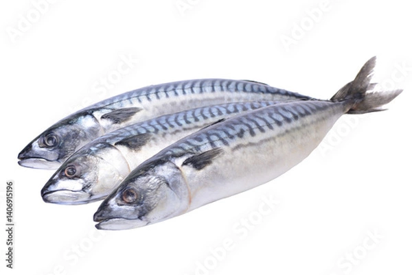 Fototapeta Fresh fish mackerel on a white background