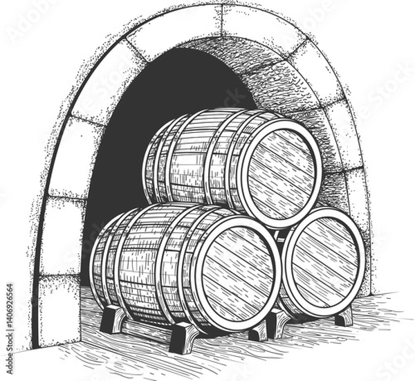 Fototapeta Engraving vintage wine vault