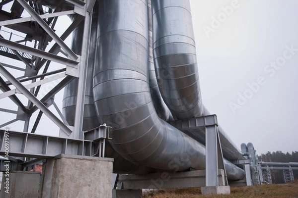 Fototapeta pipeline line against grey sky and forest