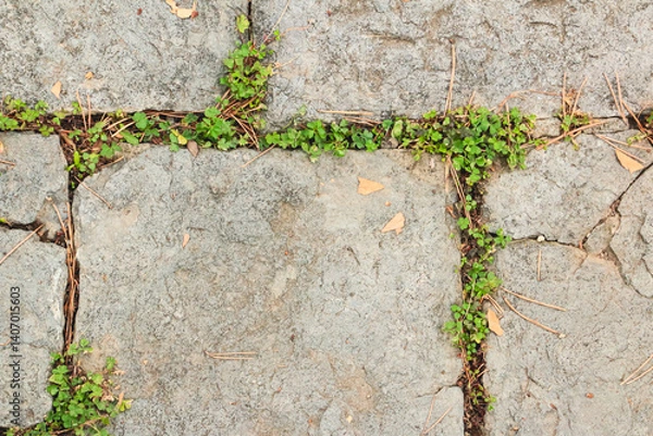 Fototapeta old stone ground with moss, stone texture, cobblestone with grass, ancient road, Stone walkway with natural texture, Ancient stone road with unique patterns and textures, stone walkway