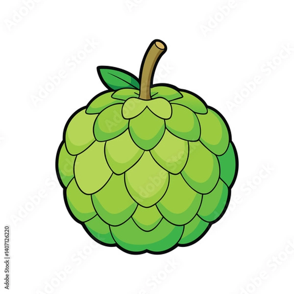 Fototapeta Sugar Apple Vector Illustration – Flat Tropical Fruit Icon for Organic Food Packaging, Juice Labels, and Healthy Diet Concepts
