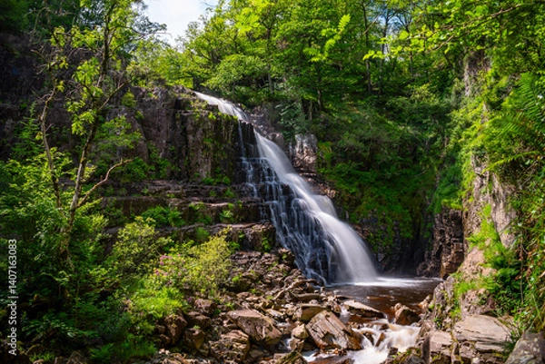 Obraz waterfall in the forest