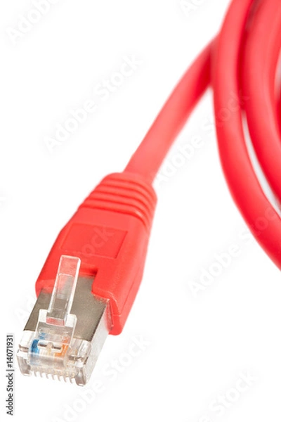 Obraz Red network cable