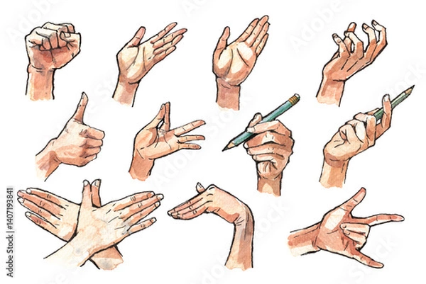 Fototapeta Watercolor and Ink Line Drawings of Human Hands in Various Gestures and Poses