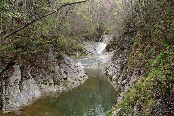 Fototapeta Lace falls at Natural Bridge State Park in Virginia.