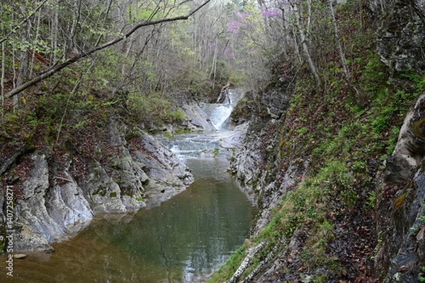 Fototapeta Lace falls at Natural Bridge State Park in Virginia.