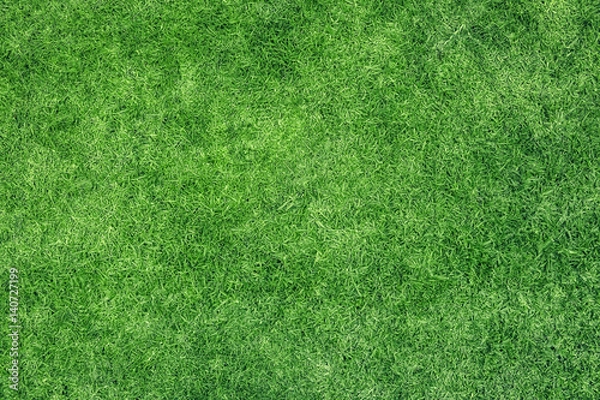 Obraz Green grass texture