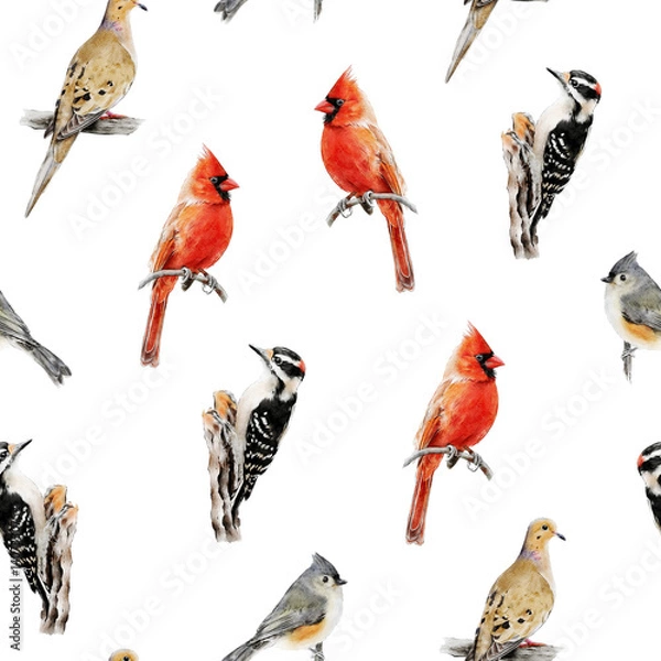 Fototapeta Birds seamless pattern isolated. Hand-drawn Northern Cardinal, Mourning Dove, Downy Woodpecker bird backdrop for fabric, packaging paper design. Nature repeated pattern, background