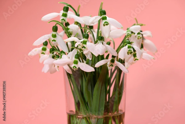 Fototapeta bouquet of blooming snowdrop flowers in a glass vase on a peach color background