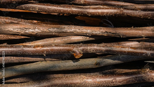 Fototapeta old wood texture