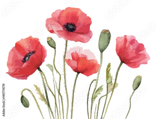 Obraz ポピーの花の水彩風イラスト　生成AI