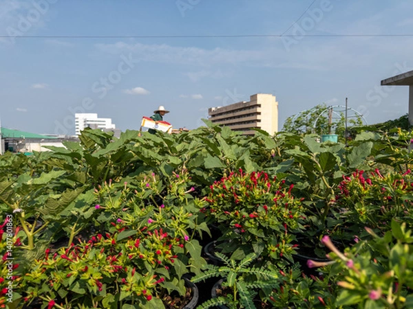 Fototapeta Urban Farm landscape on top of a government building in Lak si, Bangkok