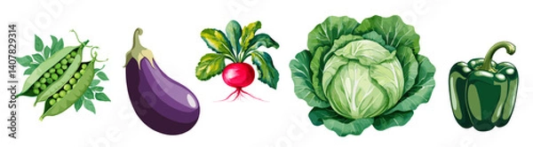 Fototapeta Set of vegetables including radishes, peas, pepper, eggplant and cabbage.  Watercolor style vector illustrations isolated on white background