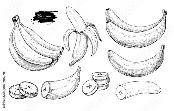 Fototapeta Banan rysunek wektor zestaw. Na białym tle ręcznie rysowane kiść, skórki banana i pokrojone kawałki. Grawerowany styl owoców letnich