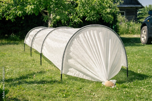 Fototapeta Assembling a garden greenhouse for vegetables. Preparing for the spring garden season. A man assembles a greenhouse for a vegetable garden
