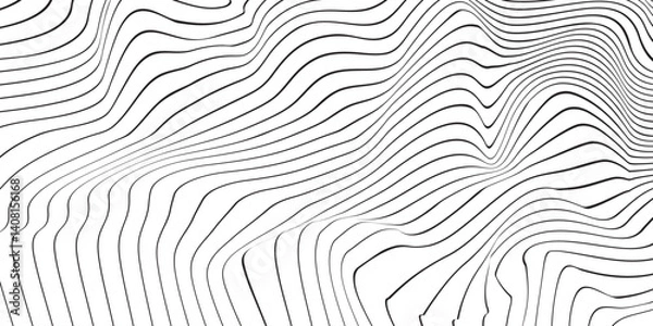 Fototapeta Abstract Black and White Interwoven Wavy Line Pattern with Organic Topographic Texture