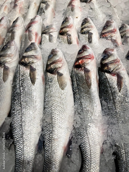 Obraz close up of a fish market display with freshly caught seabass covered with powdered ice for preservation, vertical