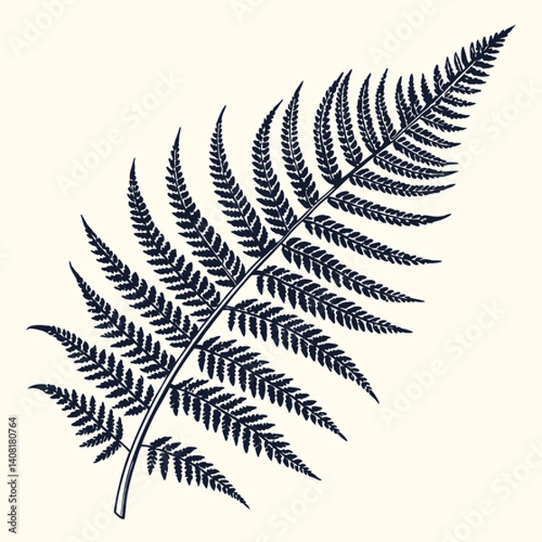 Obraz fern leaf isolated on black vector