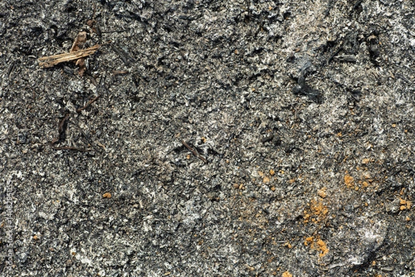 Obraz Gray ash texture as background, top view. Cinder, grey ashes from the wood.