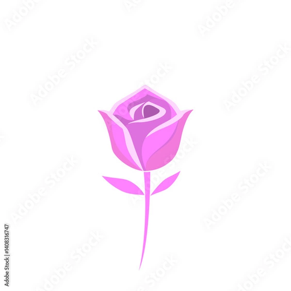 Obraz Rose isolated on a white and pink background. useful for print, postcards, posters, cards, web and graphic design.	
