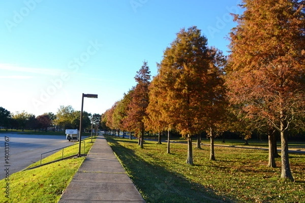 Fototapeta Lonely Pavement