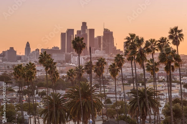 Fototapeta Beautiful sunset of Los Angeles downtown skyline and palm trees in foreground