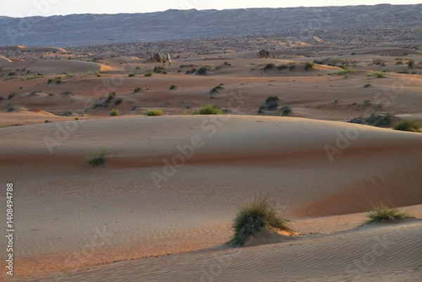 Fototapeta Dunes of Rub Al Khali desert. Wahiba Sands. Sultanate of Oman.