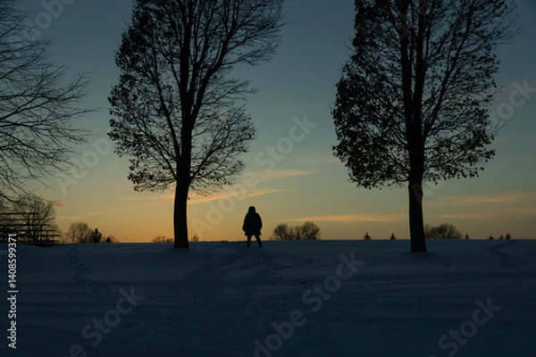 Fototapeta Dark silhouettes of bare winter trees and a person walking in the snow between them against a pale orange-pink streak of sunset light in the darkening sky over a snow-covered park