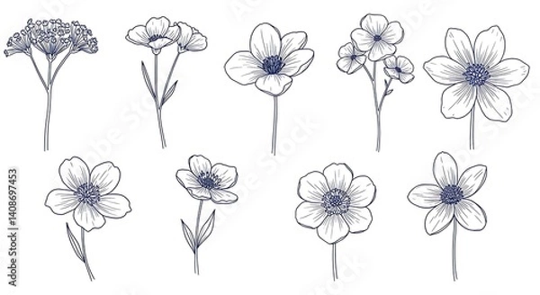 Fototapeta Elegant Line Art Floral Collection: Delicate Botanical Drawings