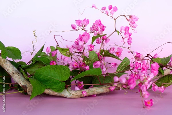 Fototapeta Invitation card or template for your design with bright flowers and branches on a pink background