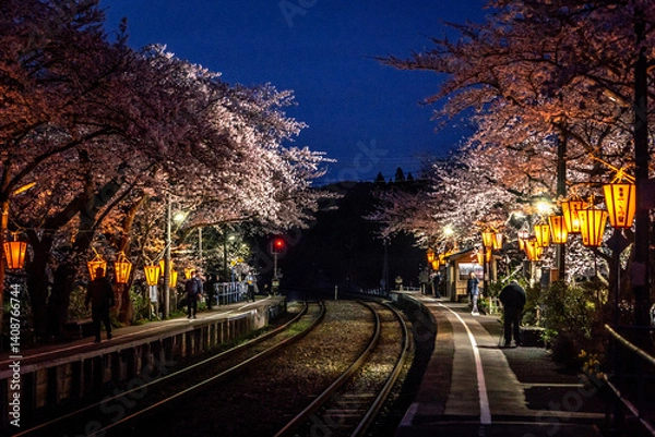 Obraz 夜桜ライトアップされた能登鹿島駅