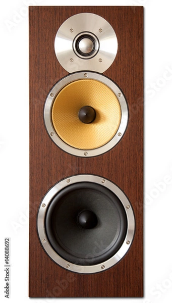 Fototapeta Standing speaker