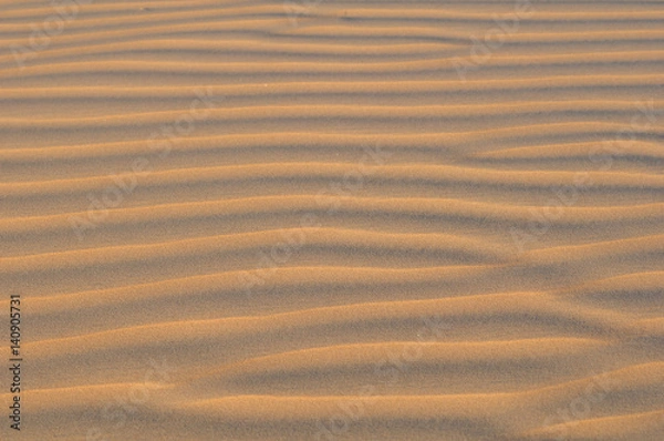 Obraz Line Patterns in Desert Sand
