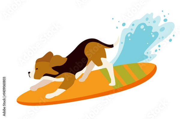 Obraz beagle dog surfing