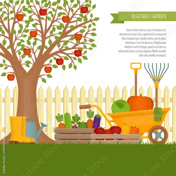 Obraz Vegetable garden. Concept of gardening. Banner with vegetable garden. Organic and healthy food. Flat style, vector illustration.