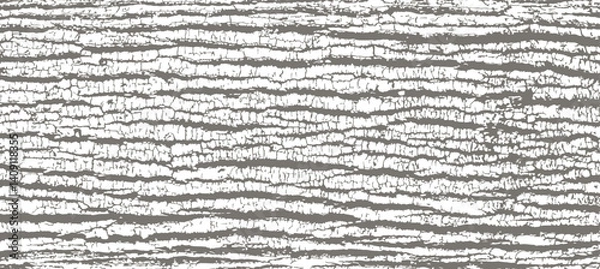 Obraz Poplar bark texture