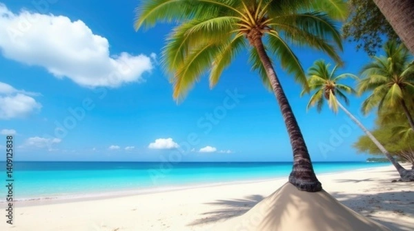 Obraz Dream Scene Beautiful Palm