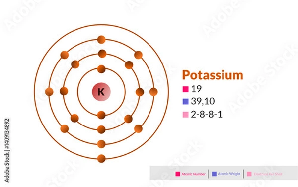 Fototapeta Bohr model of the Potassium atom. Electron structure of Potassium.