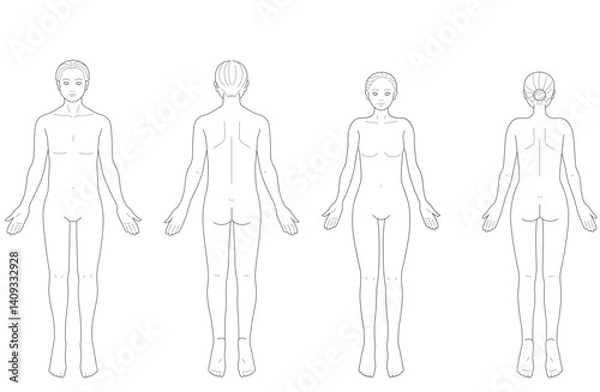 Obraz 正面と背面から見た男性と女性の身体	
